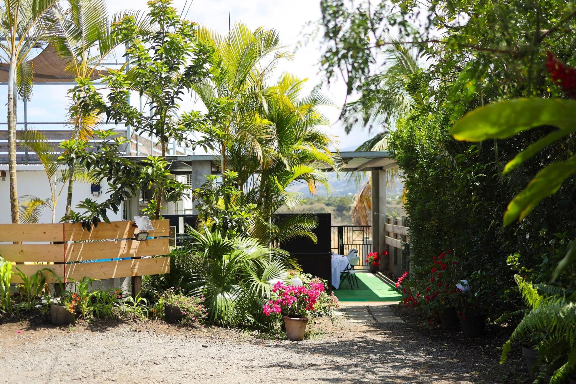 Eclats D'Etoiles - Rooftop - Piscine - By Sister Home Saint Pierre Buitenkant foto